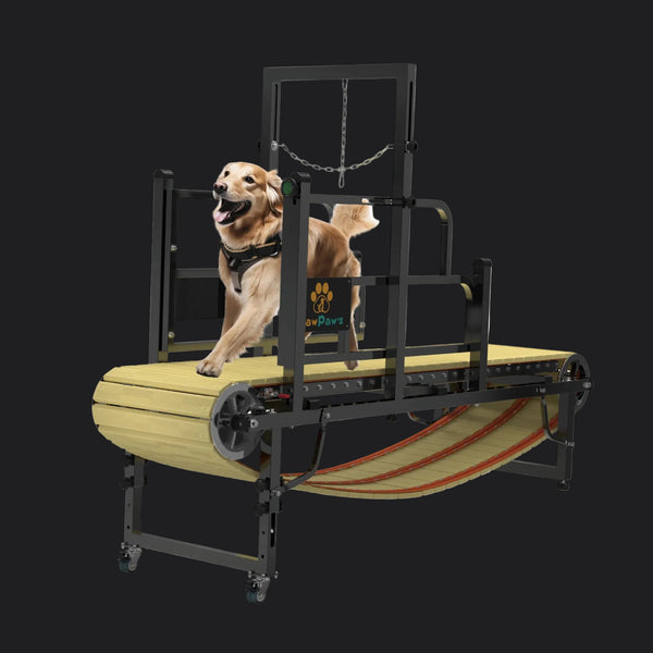 Dog Treadmill for Large and Medium Dogs, Dog Slatmill for Healthy & Fit Dog Life, Dog Treadmill for Indoor & Outdoor. Dog Treadmill for Dogs up to 220 Lb