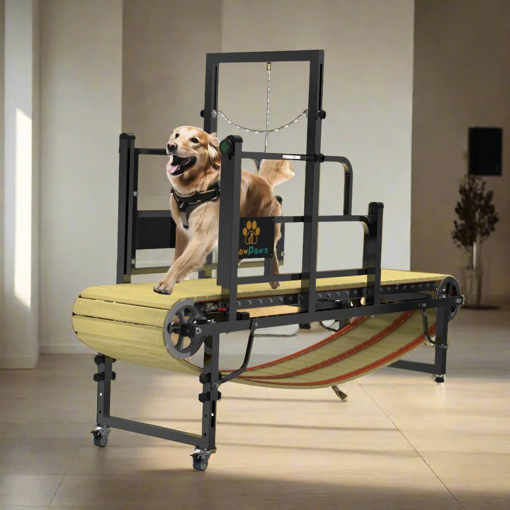 Dog Treadmill for Large and Medium Dogs, Dog Slatmill for Healthy & Fit Dog Life, Dog Treadmill for Indoor & Outdoor. Dog Treadmill for Dogs up to 220 Lb